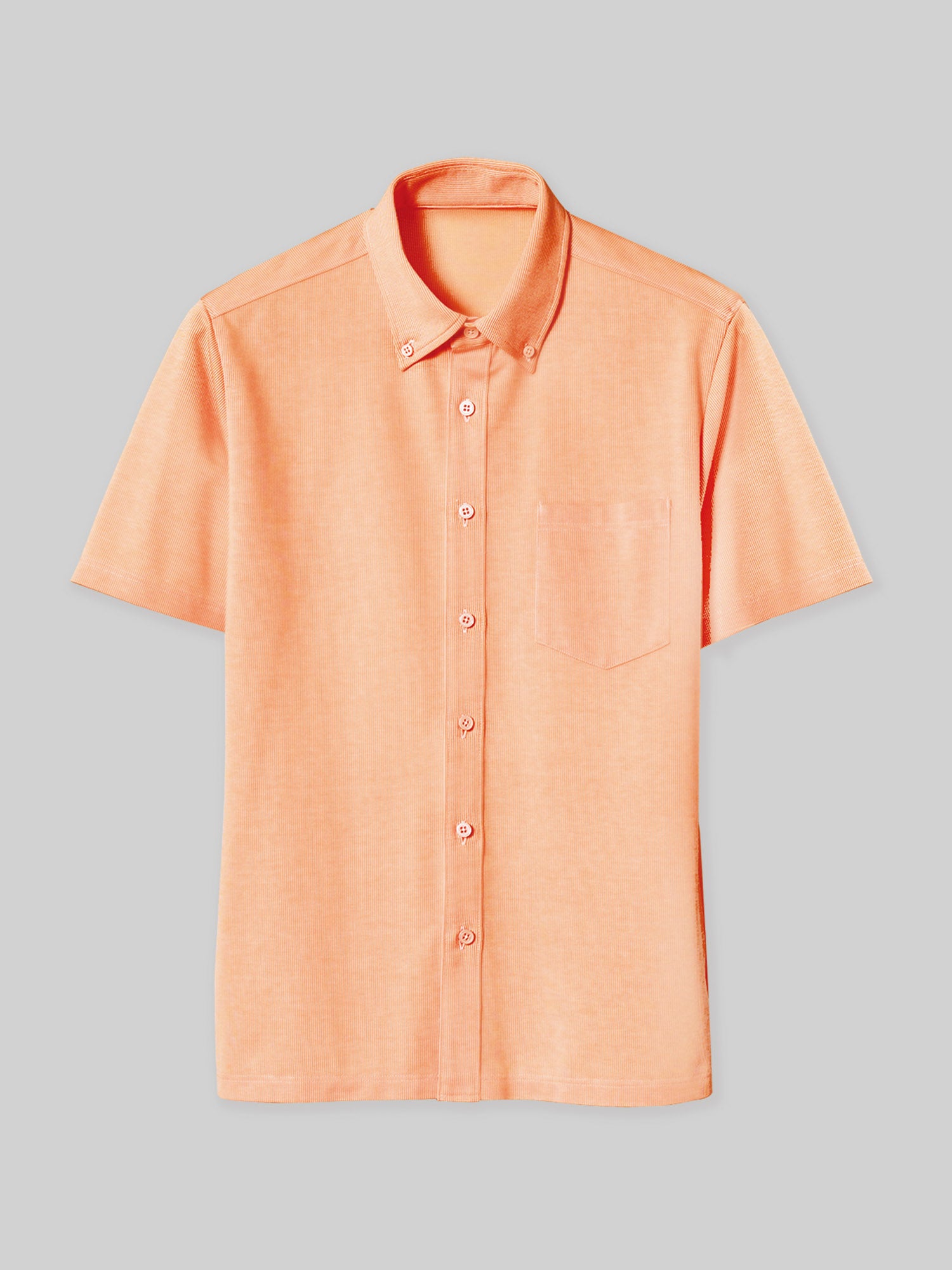 【アウトレット】1646　兼用半袖ボタンダウンニットシャツ